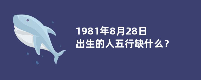 1981年8月28日出生的人五行缺什么？