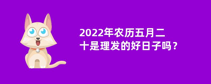 2022年农历五月二十是理发的好日子吗？日常防脱发护理方法