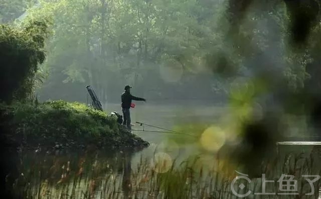 春天早上钓鱼钓浅还是钓深