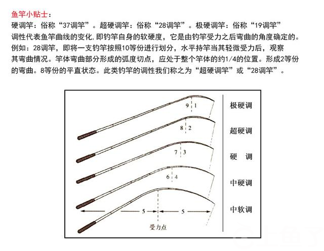 什么鱼竿比较好