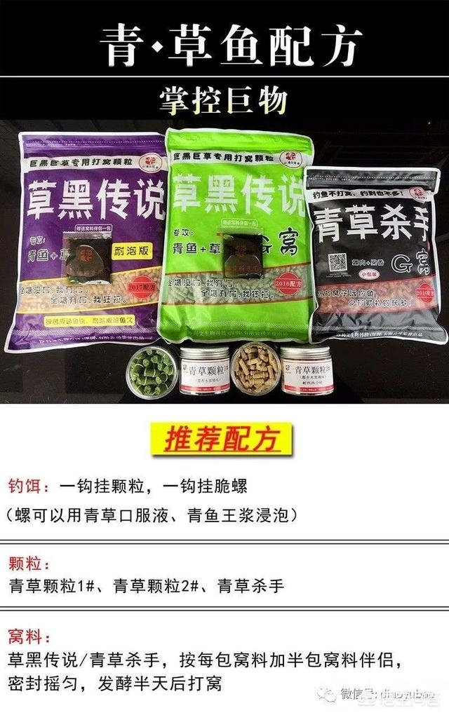 青鱼喜欢吃什么味型的饵料