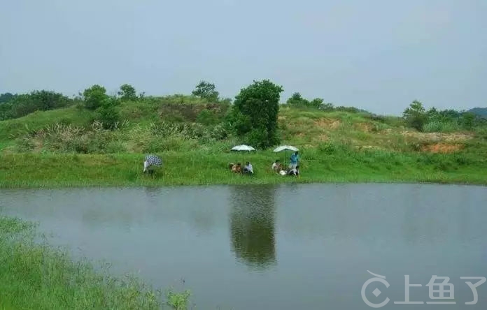 夏季什么风向好钓鱼