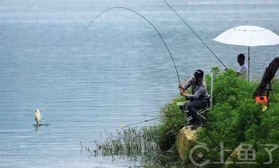 河道钓鱼技巧