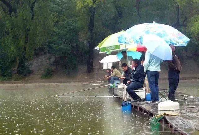 夏天下雨的时候钓鱼好钓吗