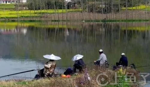 春天的钓鱼用什么鱼饵