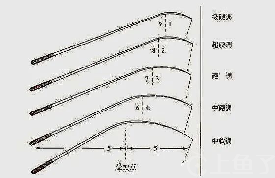 19调鱼竿