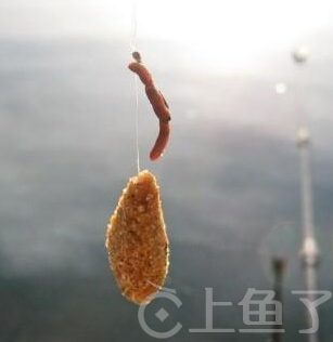 鱼饵怎么挂钩