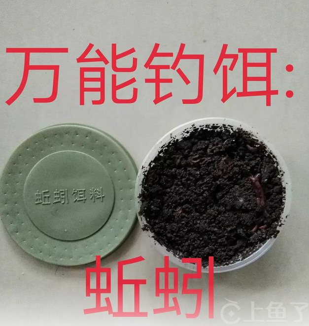 蚯蚓钓鱼挂钩方法