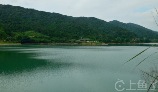 花都区免费钓鱼的水库