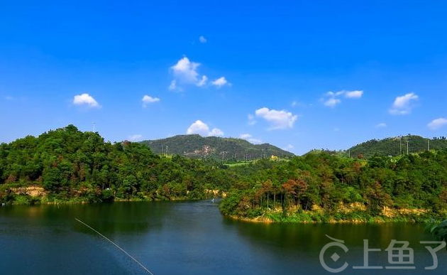 水库怎么钓大鱼