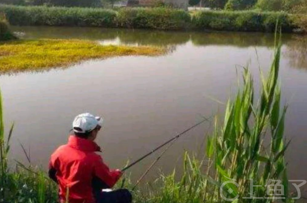 秋季钓鱼钓深还是浅