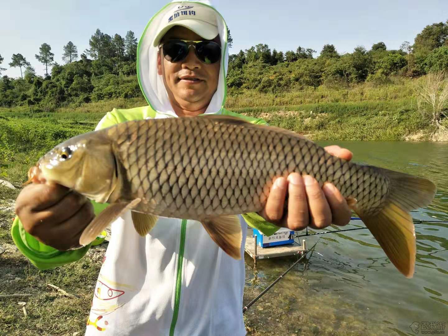 春天钓大鲤鱼，巧用一根针挂钩玉米，每次都会钓上巨物