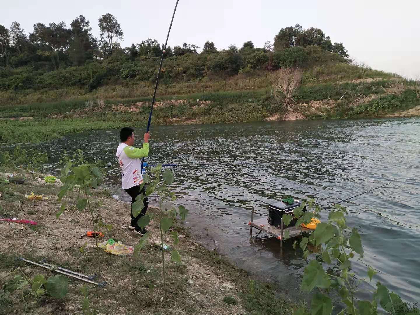 春天钓大鲤鱼，巧用一根针挂钩玉米，每次都会钓上巨物