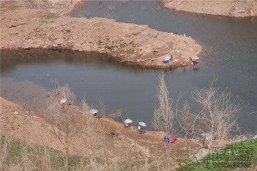 大师告诉你：水库钓草鱼，一定要懂得这些技巧