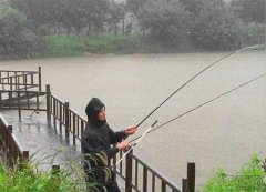 下雨天钓草鱼好不好钓