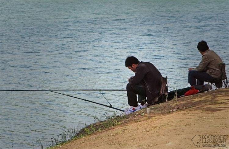 下雨后钓鱼很容易爆护，尤其是钓大草鱼