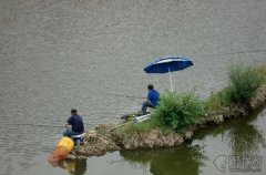 河里的黑鱼怎么钓