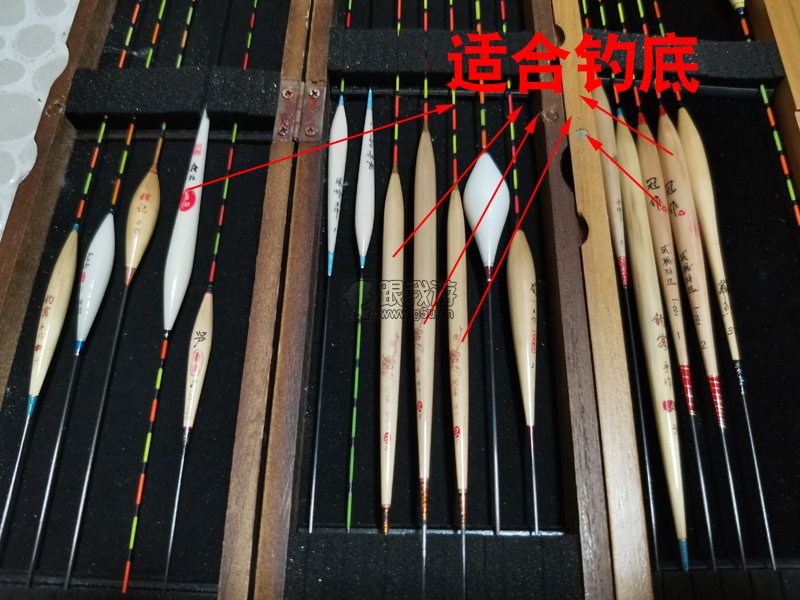 黑坑如何钓罗非？做好这7点，让你快速入门