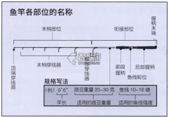 路亚什么用鱼竿