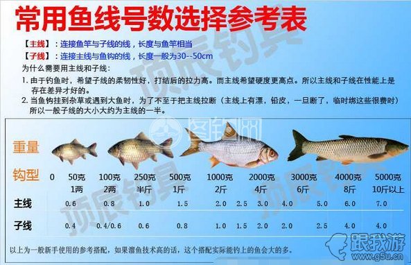 钓鱼线_鱼线的绑法图解