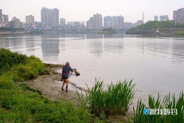 鱼网，你撒得开吗？