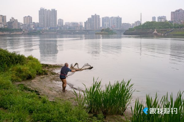 鱼网，你撒得开吗？