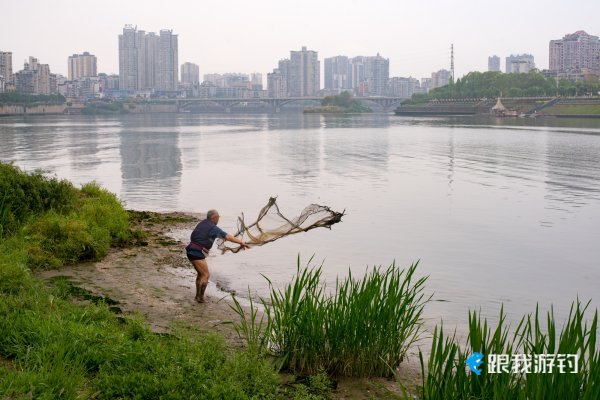 鱼网，你撒得开吗？