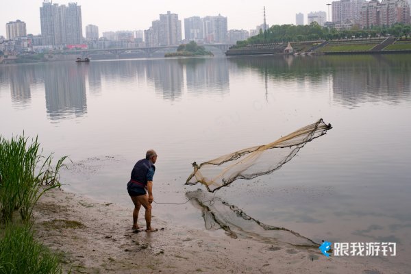 鱼网，你撒得开吗？