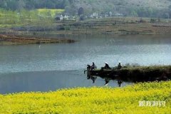 野钓垂钓你不知道秘密，一下子全懂了