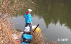 迄今为止，我只服这三种“组合”鲫鱼饵，不管用哪种都比小药强！