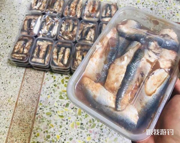 海钓用饵攻略：水情决定钓饵，没有最好用的饵就用最合适的饵