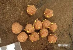 爆炸饵料的制作方法