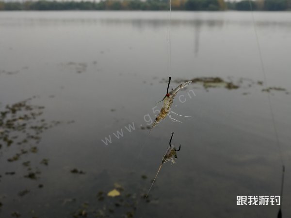 长江里钓鳊鱼，这6种都是常用饵，商品饵搭配，3个原则是关键