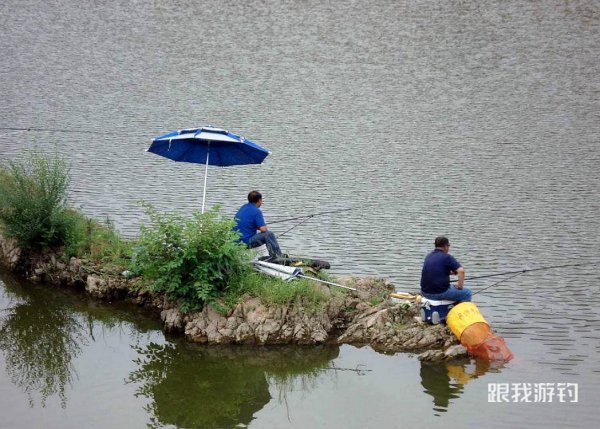 分享两款强效中药钓鱼药酒配方，只要鱼一开口就停不下来