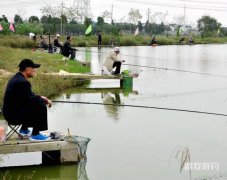 介绍几种常用的钓鱼小药配方