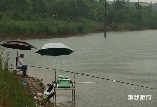 分享三款钓鱼窝料配方，适合夏季垂钓大水域用