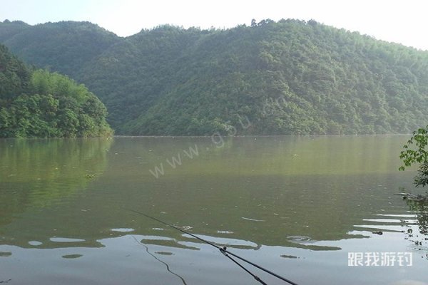 李大毛亲传钓鱼窝料配方，专攻湖库草鱼鲤鱼，钓大物必备