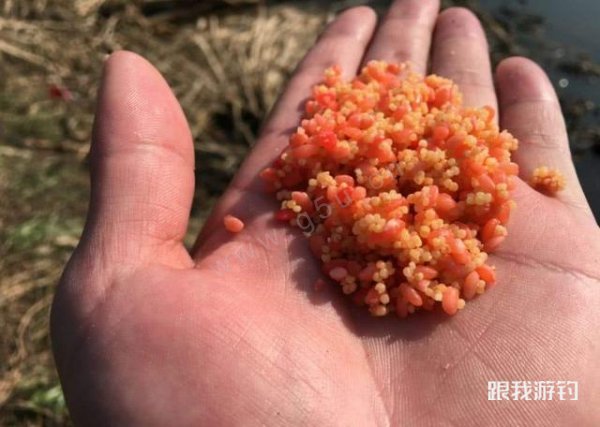 别担心香型太多配饵太难，了解这几种，就足够了