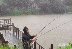 秋天阴雨天怎么钓鱼