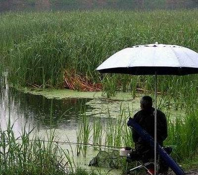 夏天钓鲤鱼到底钓深还是钓浅记住这几个法则，一钓一个准