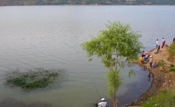 夏季钓草鱼的实用技巧，草鱼没那么难钓