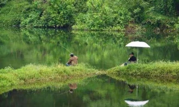 夏天气温高、气压低，钓鱼很难，教你5招，野钓不落空