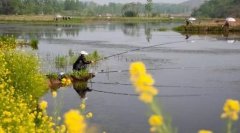 春天怎么在野河钓鱼