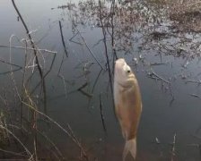 冬季钓鱼不得不关注的六个细节