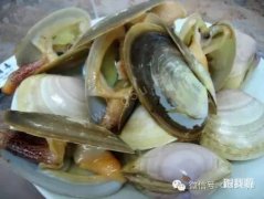 民间大师推荐的青鱼实用饵料