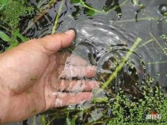 教你了解雨水前后的钓法与技巧！