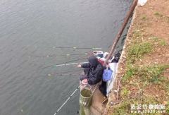 自制1种钓鱼饵料配方野河狂拉19斤！都停不下来！