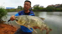 游钓中国 第二季 第36集 第36集 海蓝湾水库寻鲢 后发制人连竿底物