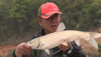 游钓中国 第三季 第11集 第11集 放竿岭南山中海洋 烟雨朦胧鏖战底物