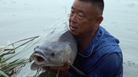 游钓中国 第六季安徽淮北塌陷区 雨中守巨青